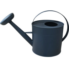 Vattenkanna för trädgården