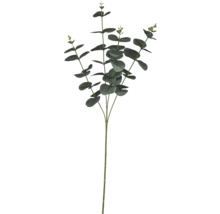 Konstgjord eukalyptuskvist med gröna blad och flera stjälkar för dekoration.