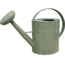 Vattenkanna i metall för trädgården