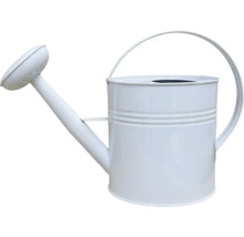 Vattenkanna i metall med duschmunstycke