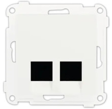 Centralplatta av plast för datauttag med två rektangulära öppningar.