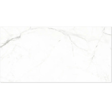 Väggplatta eller golvplatta i marmorlook med grå ådring