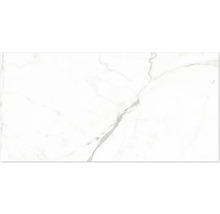 Platta i granitkeramik med marmorutseende och grå ådring för vägg och golv.