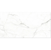 Klinkerplatta i marmorlook med grå ådring.