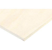 Plywoodskiva av ljust trä med synliga lager på kanten.