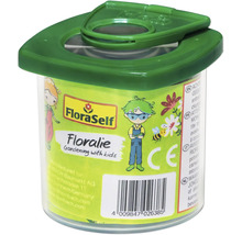FloraSelf Floralie luppburk av plast för barn för observation av insekter.