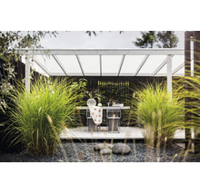 Modern terrass med vit träpergola, matbord med stolar, stora prydnadsgräs och mörkt trästaket.