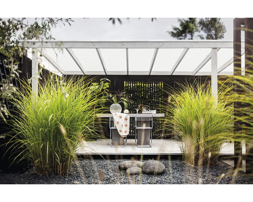 Modern terrass med vit träpergola, matbord med stolar, stora prydnadsgräs och mörkt trästaket.
