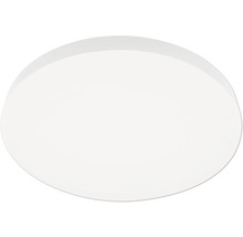 Rund taklampa med välvd plastskärm i opalutförande.