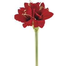 Konstgjord amaryllis på stjälk, röd.