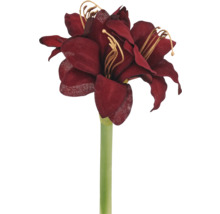 Konstgjord amaryllis med mörkröda blommor av textil och grön stjälk.