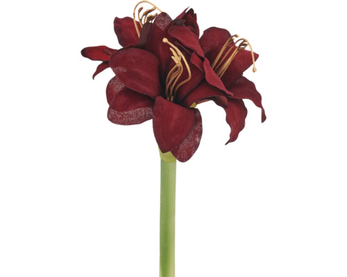 Konstgjord amaryllis med mörkröda blommor av textil och grön stjälk.