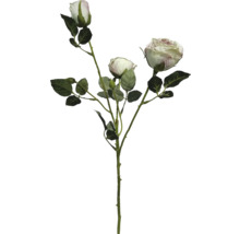 Konstgjord roskvist med tre krämvita blommor och gröna blad.