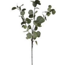 Konstgjord eukalyptuskvist med flera sidogrenar och runda gröna blad.