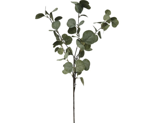 Konstgjord eukalyptuskvist med flera sidogrenar och runda gröna blad.