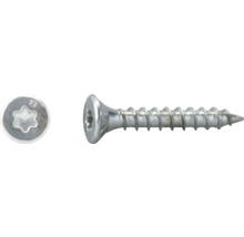 Träskruv med försänkt huvud och Torx-spår av metall.