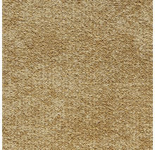 Beige dekorputs med fin kornstruktur för fasader och inomhusbruk.