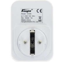 Baksidan av en Kangtai mellanpropp modell 55085 med tekniska data som 230 Volt och 16 Ampere, CE-märkning och återvinningssymbol.