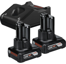 Bosch Professional set med två 12 Volts 6,0 Amperetimmar Litiumjon-batterier och en laddare.