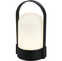 Modern bärbar bordslampa med svart fot och handtag samt en vit genomskinlig kupa.