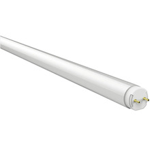 Vitt LED-lysrör med G13-sockel och matt diffusor.