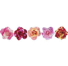 Fem olika rosenblommor med varierande mönster och kronbladsformer.