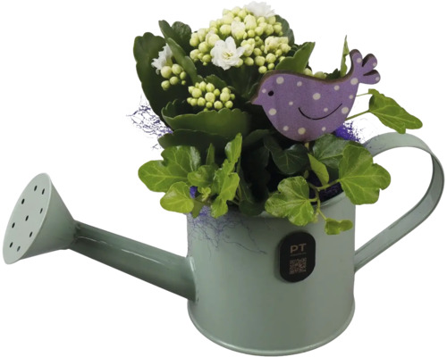 Blomsterarrangemang med vit våreld och grön murgröna i en dekorativ vattenkanna av metall med en lila fågelsticka.