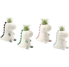 Fyra dekorativa blomkrukor i keramik formade som dinosaurier med Tillandsia luftväxter.
