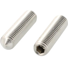 Två pinnskruvar med insexkant och spets av metall.