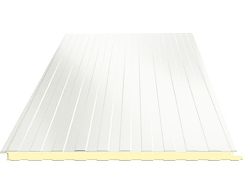 Sandwichpanel vägg PRECIT gråvit 3000x1000x40 mm Sandwichpanel vägg PRECIT gråvit 3000x1000x40 mm