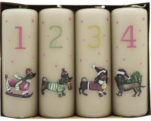 Set med fyra beige adventsljus med siffrorna ett till fyra, motiv av taxar i vinterkläder och små stjärnor.