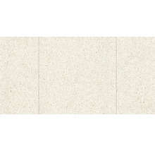 Golvplatta av granitkeramik med fin kornighet i terrazzo-look.
