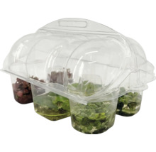 Akvarieväxtset, 4 delar, i genomskinlig plastförpackning.