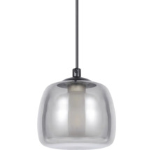 Enarmad pendellampa med kupolformad glasskärm och svart metallstång.