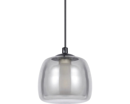 Enarmad pendellampa med kupolformad glasskärm och svart metallstång.