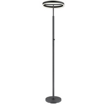 Modern LED-golvlampa med ringformat lamphuvud, smalt rör och rund fot. Utrustad med touchdimmer.