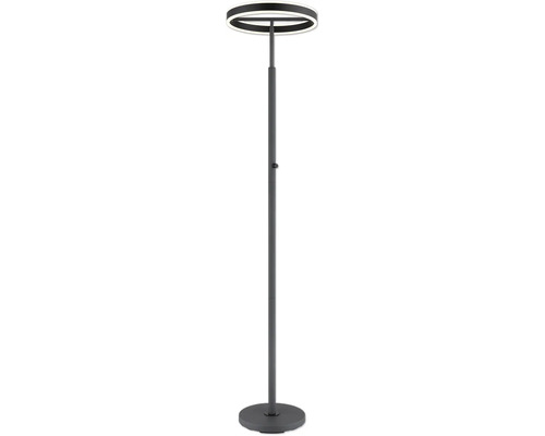 Modern LED-golvlampa med ringformat lamphuvud, smalt rör och rund fot. Utrustad med touchdimmer.