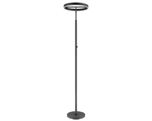 Modern LED-golvlampa med ringformad lamphuvud och rund bas.
