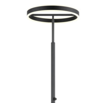 Svart modern golvlampa i metall med ett ringformat lamphuvud och dimmer.