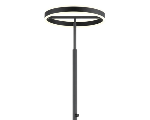 Svart modern golvlampa i metall med ett ringformat lamphuvud och dimmer.