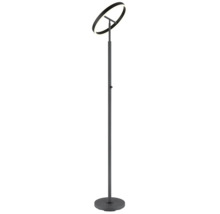Modern LED-golvlampa med ringformad ljuskälla och rund bas i mörk finish.