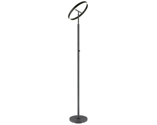 Modern LED-golvlampa med ringformad ljuskälla och rund bas i mörk finish.