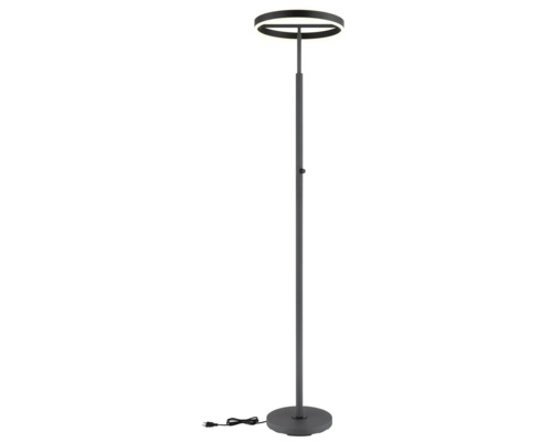 Modern LED-golvlampa med ringformat huvud, smal metallstång med dimmer, rund bas och svart strömkabel.