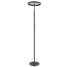 Modern LED-golvlampa med ringformat lamphuvud, smalt rör och rund fot i antracit.