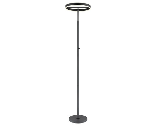 Modern LED-golvlampa med ringformat lamphuvud, smalt rör och rund fot i antracit.
