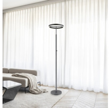 Modern LED-golvlampa med två ljusringar i ett ljust vardagsrum med ljusa gardiner och en soffa.