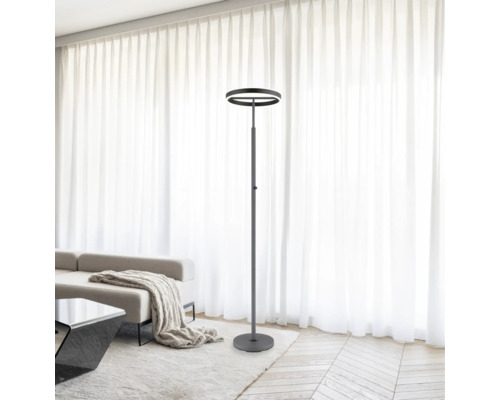 Modern LED-golvlampa med två ljusringar i ett ljust vardagsrum med ljusa gardiner och en soffa.