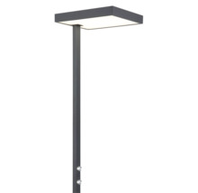 LED-golvlampa i metall med rektangulärt lamphuvud och två vridimmers på stativet.
