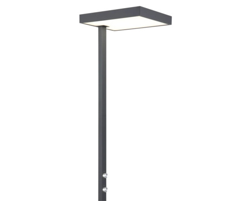LED-golvlampa i metall med rektangulärt lamphuvud och två vridimmers på stativet.