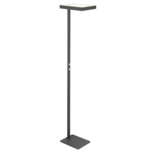 Modern LED-golvlampa för kontor i antracit med platt rektangulärt lamphuvud och fot.